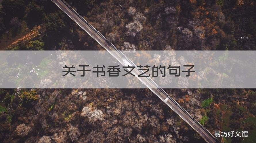 关于书香文艺的句子 文艺读书的句子