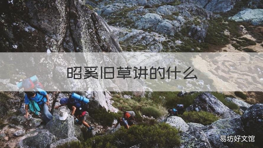 昭奚旧草讲的什么 昭奚旧草在讲什么