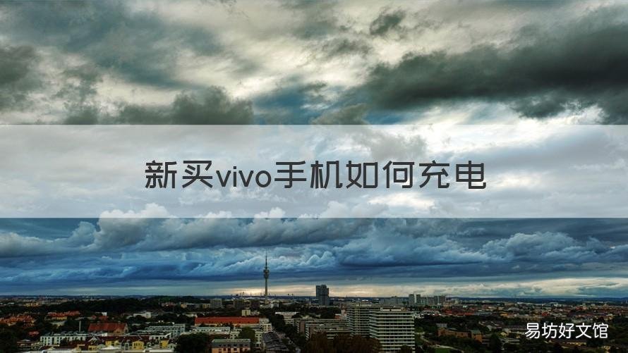 新买vivo手机如何充电 vivo新手机怎样充电