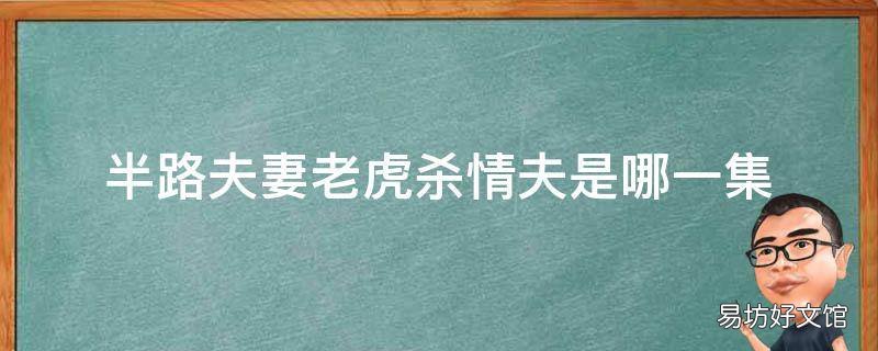 半路夫妻老虎杀情夫是哪一集 半路夫妻电视剧老虎结局