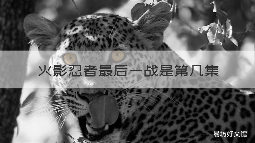 火影忍者最后一战是第几集 火影忍者最后一集是第几集