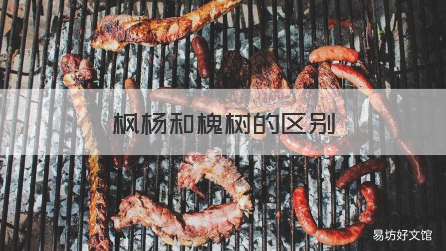 枫杨和槐树的区别 槐树和杨树有什么区别