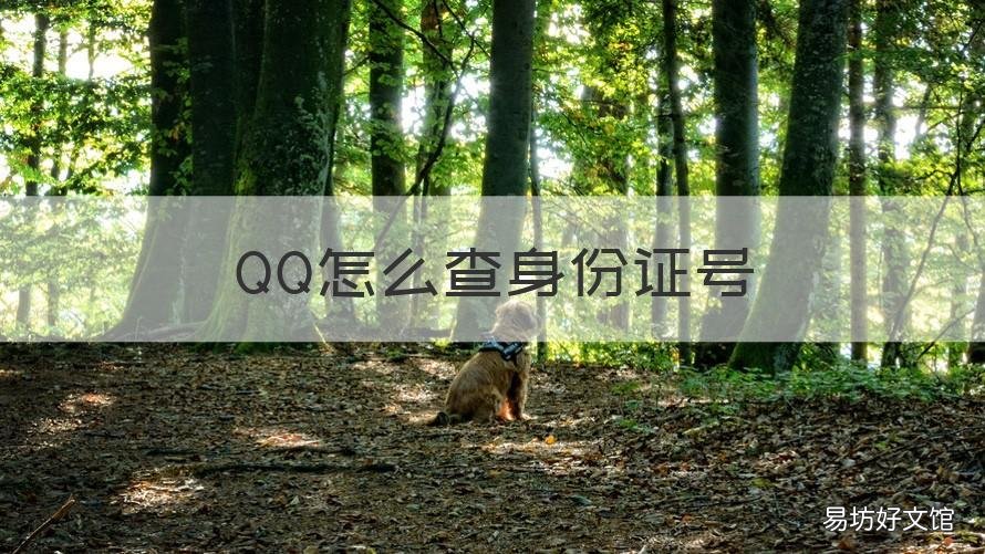 QQ怎么查身份证号 在qq怎么查身份证号码