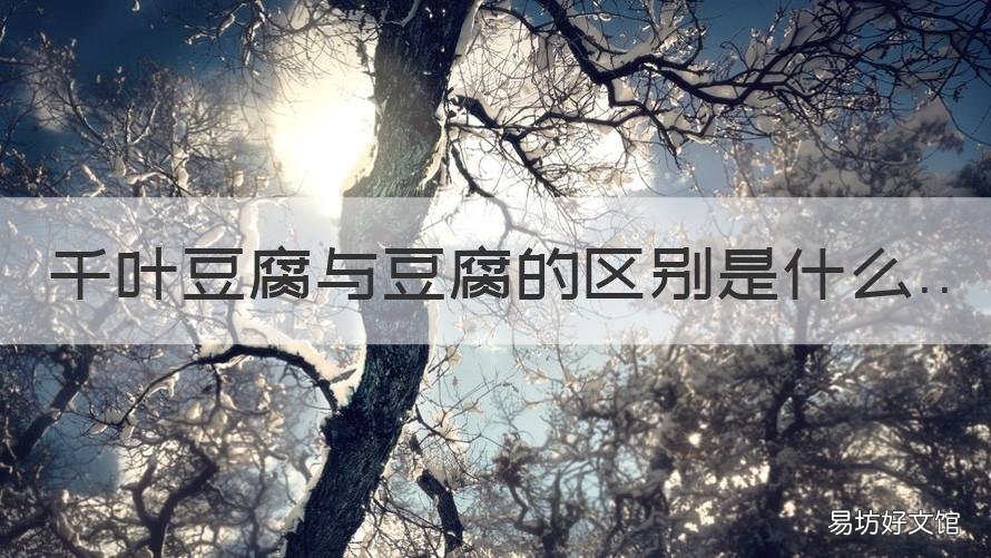 千叶豆腐与豆腐的区别是什么 千叶豆腐属于豆腐吗