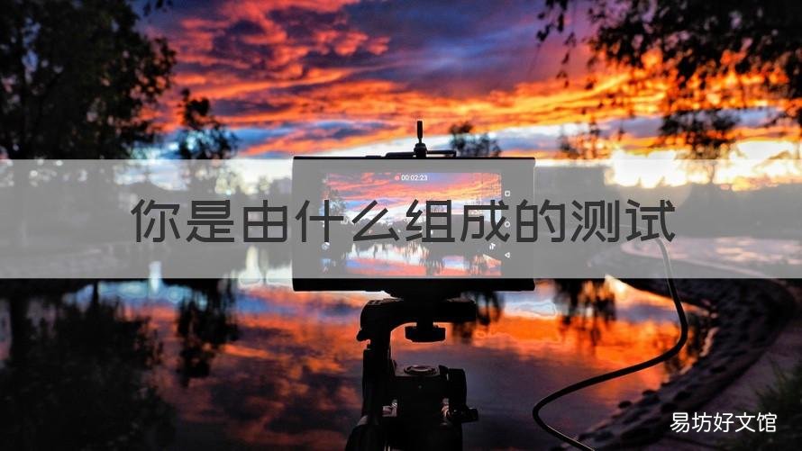 你是由什么组成的测试 你是用什么做成的测试
