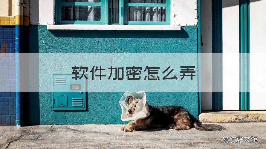 软件加密怎么弄 软件加密怎么弄苹果手机
