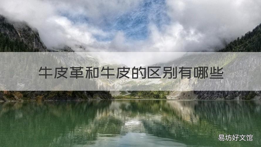 牛皮革和牛皮的区别有哪些 牛皮与牛皮革的区别