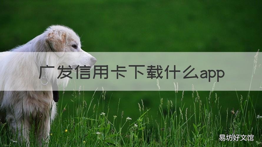 广发信用卡下载什么app 广发信用卡app下载是哪个