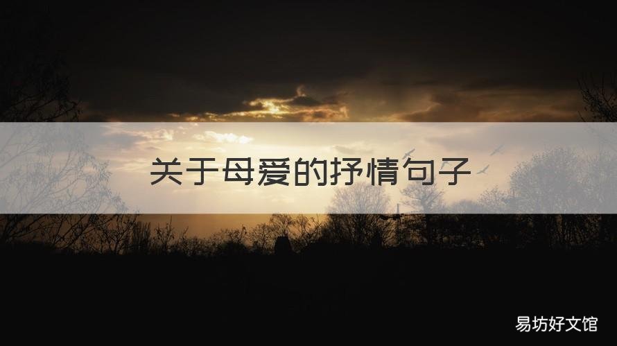 关于母爱的抒情句子 关于母爱的抒情句子有哪些