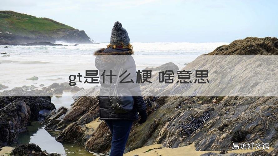 gt是什么梗 啥意思