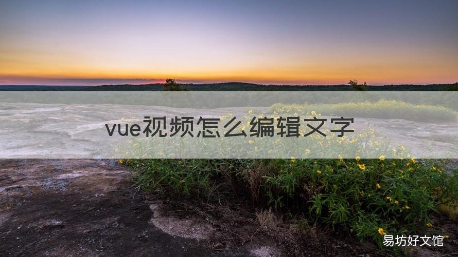vue视频怎么编辑文字 怎么用vue编辑视频