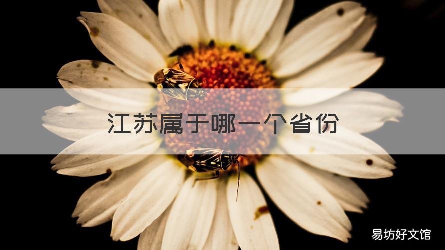 江苏属于哪一个省份 江苏属于哪个省哪个地区