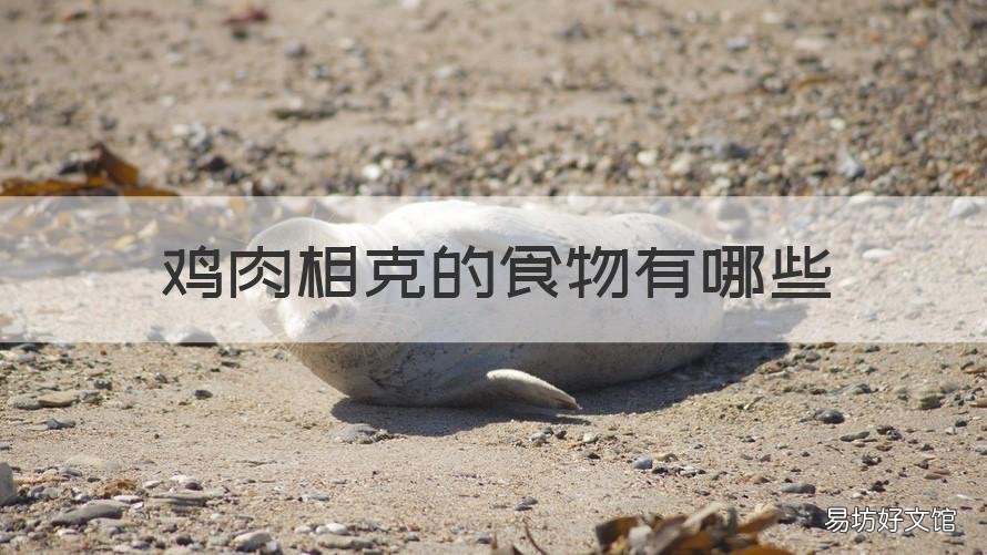 鸡肉相克的食物有哪些 鸡肉与什么相克食物