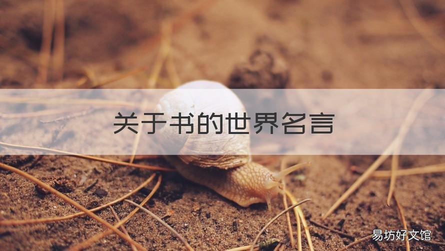 关于书的世界名言 关于书的世界名言有哪些