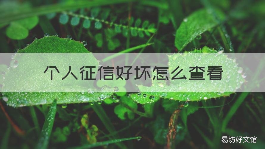 个人征信好坏怎么查看 如何查看征信好坏