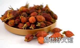 枝子和栀子的区别 栀子与栀子的区别