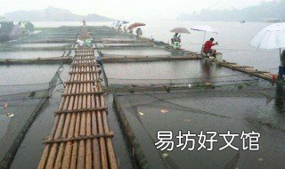 橋筏技巧 如何使用橋筏