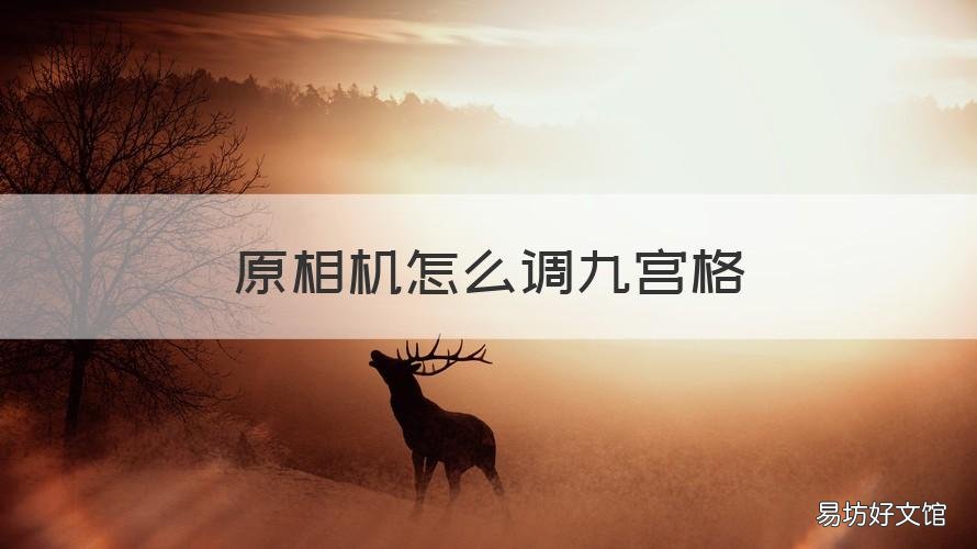 原相机怎么调九宫格 原相机怎么调九宫格oppo