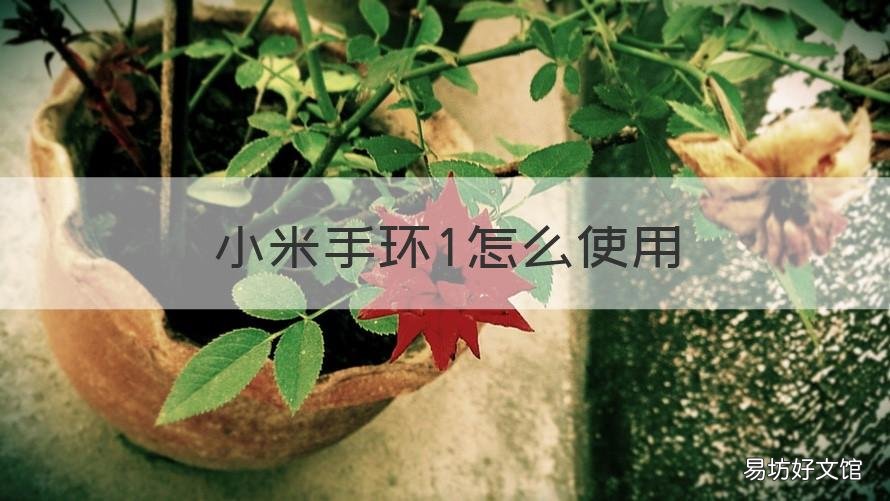 小米手环1怎么使用 小米手环怎么使用微信支付功能