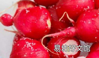 东北红皮大萝卜的腌制方法 大红萝卜的腌制做法大全