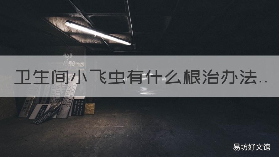 卫生间小飞虫有什么根治办法 如何根治卫生间小飞虫