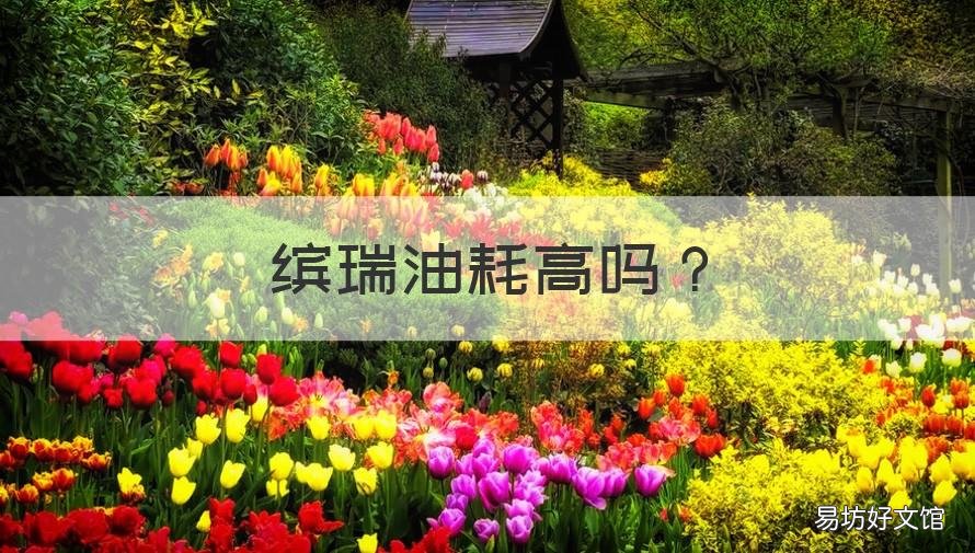 缤瑞油耗高吗 吉利缤瑞油耗高吗?