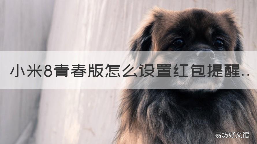 小米8青春版怎么设置红包提醒 小米8青春版怎么设置红包提醒功能