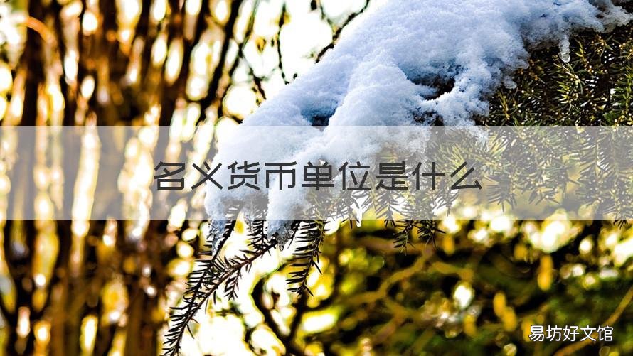 名义货币单位是什么 什么叫货币单位