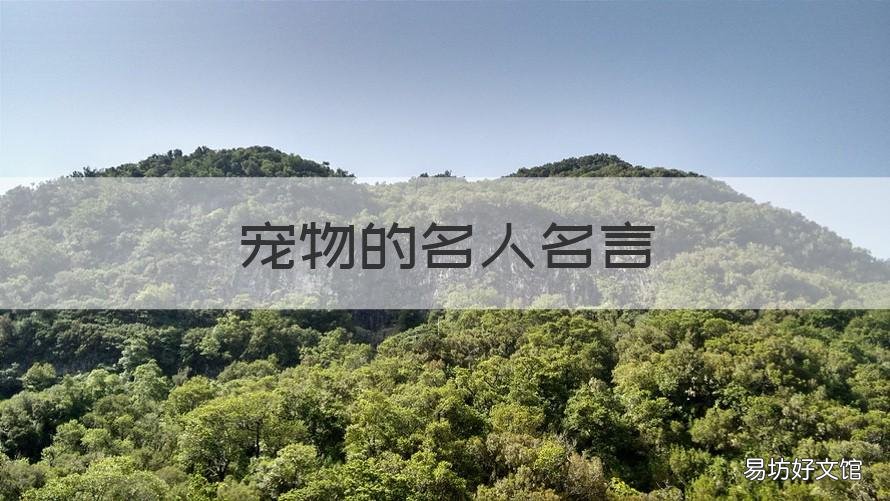 宠物的名人名言 宠物名言短句