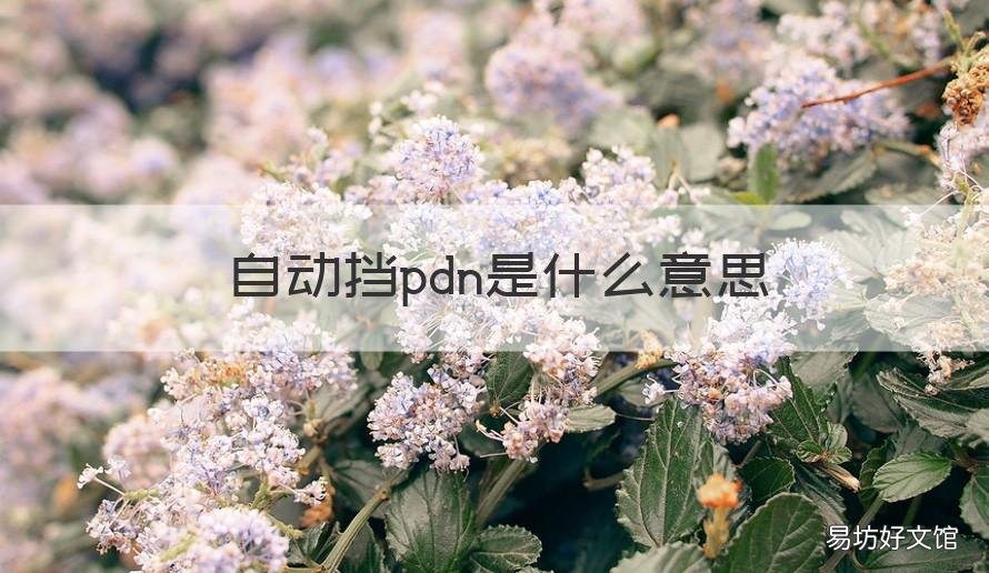自动挡pdn是什么意思 自动挡pdr