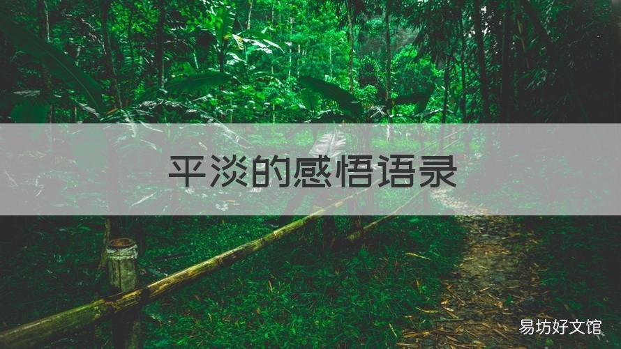 平淡的感悟语录 平平淡淡的语录