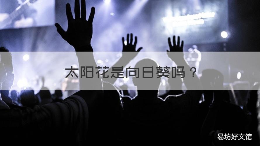 太阳花是向日葵吗 村上隆的太阳花是向日葵吗