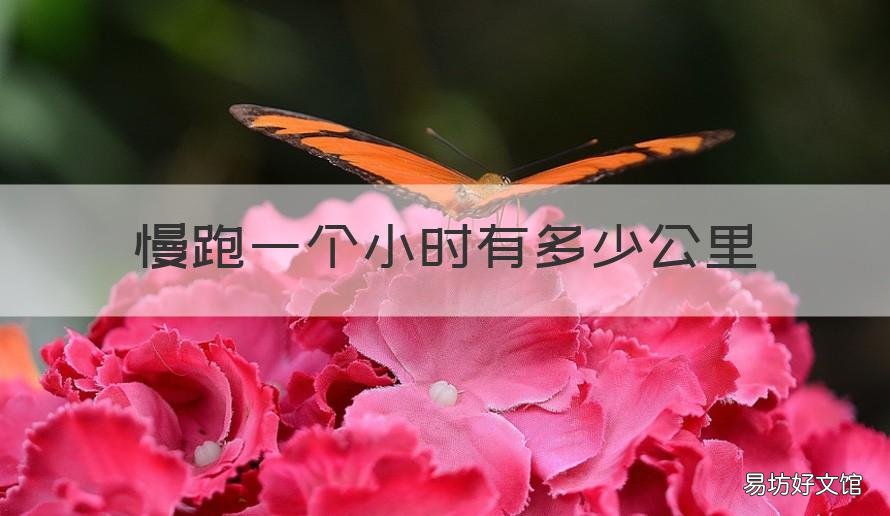 慢跑一个小时有多少公里 慢跑一小时跑多少公里