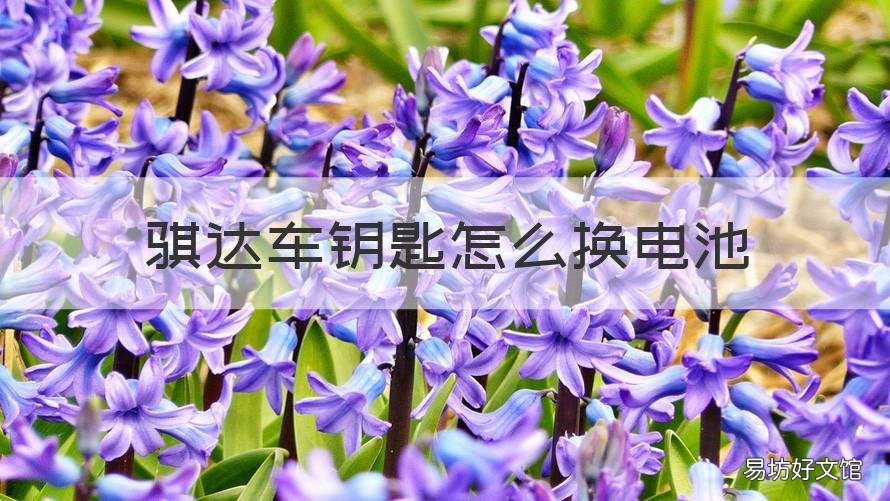 骐达车钥匙怎么换电池 骐达车钥匙换电池视频