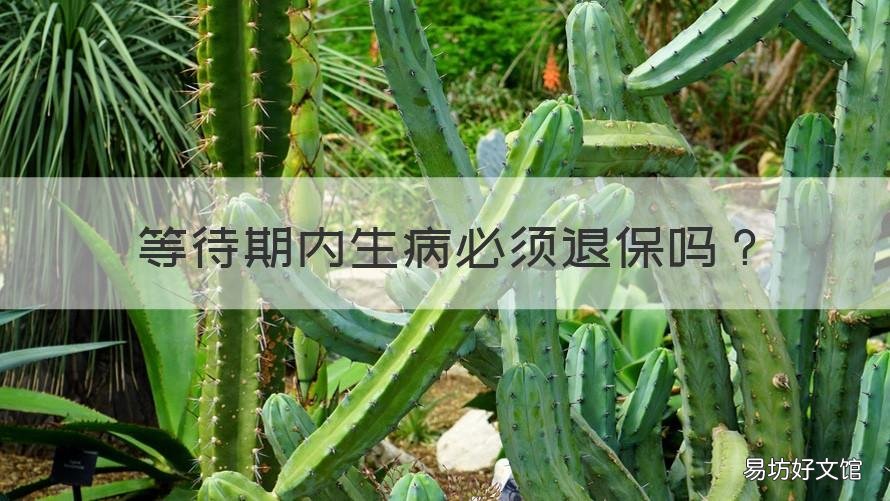 等待期内生病必须退保吗 保险等待期内生病不治等过了等待期治疗可以报销吗
