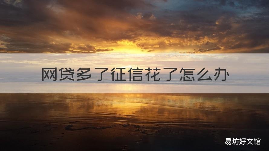 网贷多了征信花了怎么办 申请网贷太多征信花了怎么办