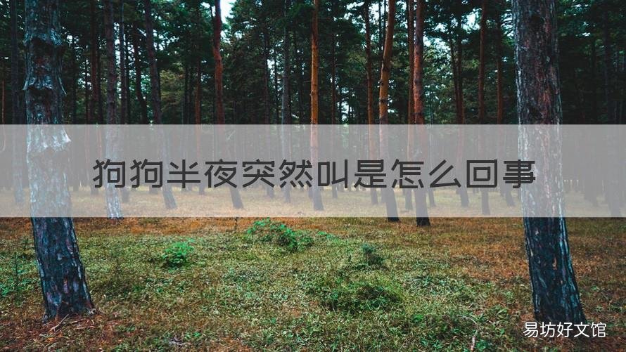 狗狗半夜突然叫是怎么回事 狗狗后半夜叫怎么回事