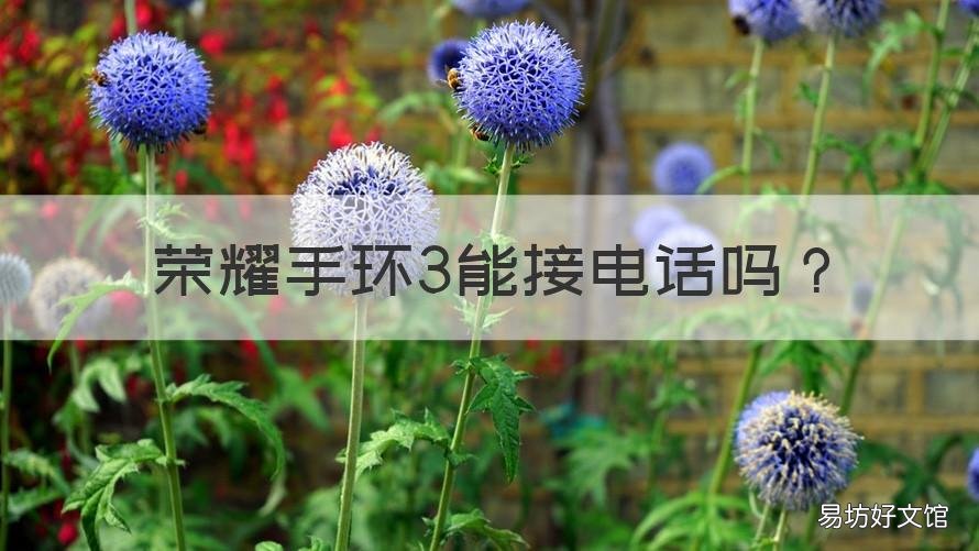 荣耀手环3能接电话吗 荣耀手环3能接电话吗苹果