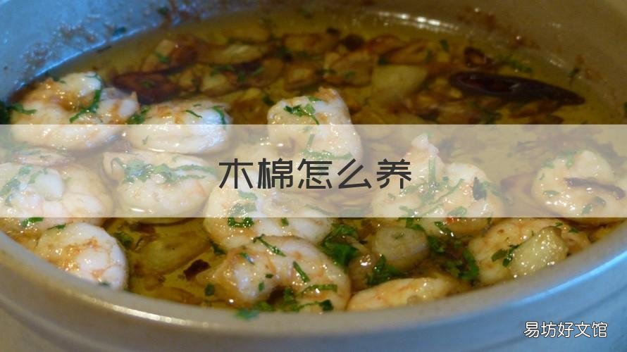 木棉怎么养 木棉的养殖方法和注意事项