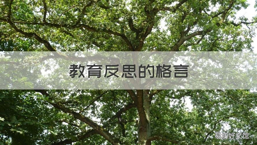 教育反思的格言 关于教育观念的名言