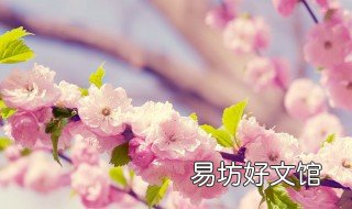 怎么折樱花书签 怎么折樱花书签视频