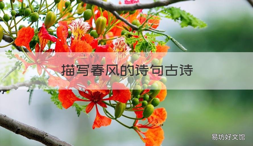 描写春风的诗句古诗 描写春风的诗句古诗小学