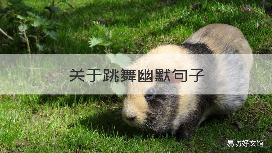 关于跳舞幽默句子 跳舞的幽默短句