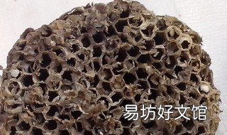 炒蜂房功效 露蜂房和炒蜂房的功效一样吗