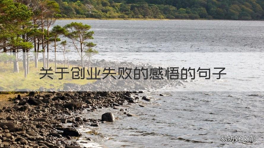 关于创业失败的感悟的句子 关于创业失败的感悟的句子有哪些