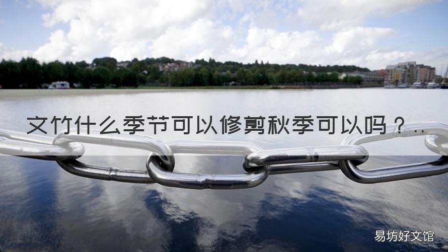 文竹什么季节可以修剪秋季可以吗 文竹在什么季节修剪