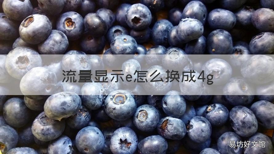 流量显示e怎么换成4g 流量显示变成E是什么意思