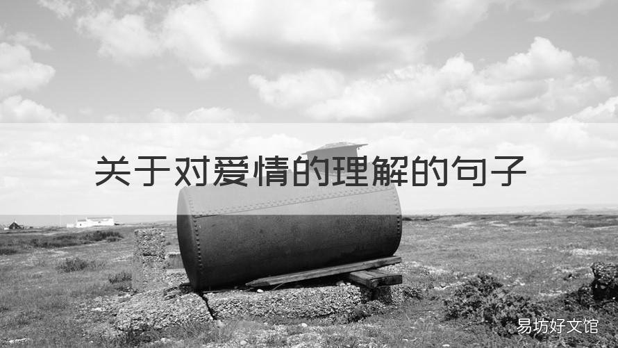 关于对爱情的理解的句子 对爱情理解的经典语录