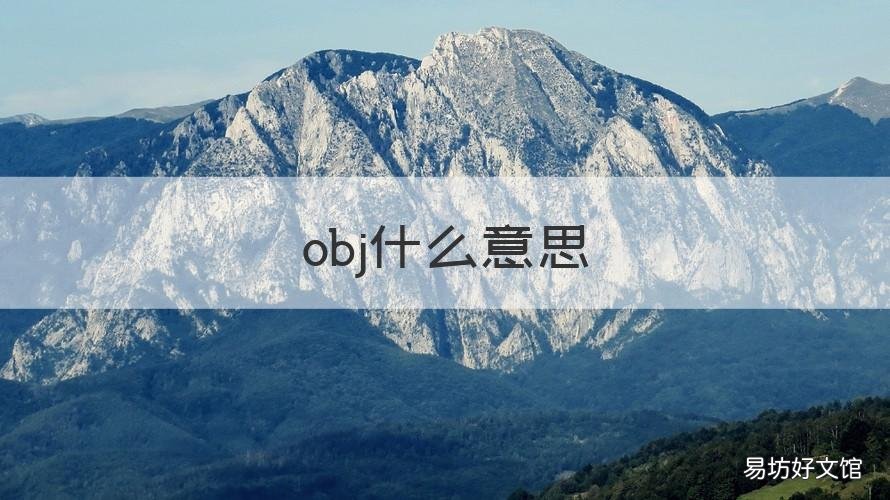 obj什么意思 图片显示obj什么意思