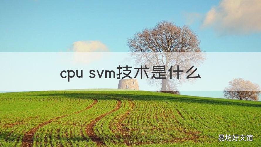 cpu svm技术是什么 cpu svm模式什么用